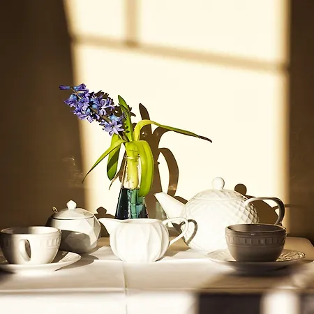 Hotel Nea Metropolis Soluň